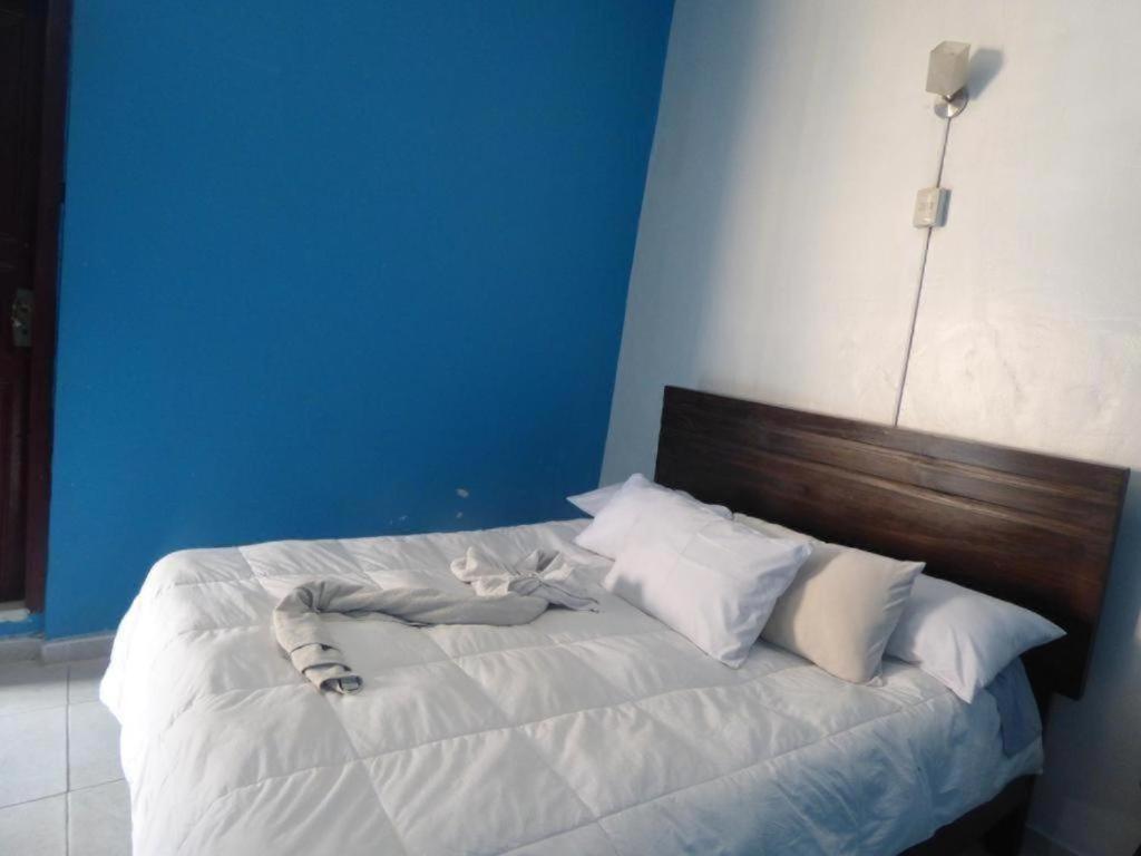 Qosqollay Plaza De Armas Bed and Breakfast Cuzco Exterior foto